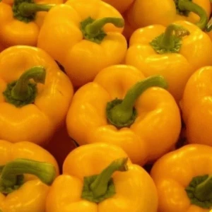 Seminte Ardei dulce Topepo Yellow (0,5 g - 75 seminte), Agrosem